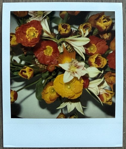 Firmato nobuyoshi araki - nobuyoshi,