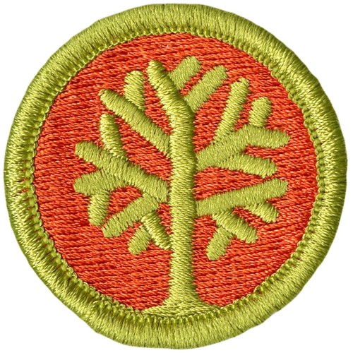 Bsa genealogia distintivo - bsa,