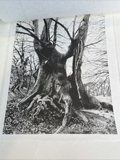 B&W Serigraph Bologna Il