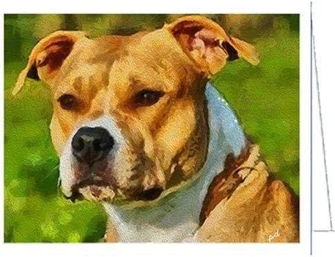 American staffordshire terrier - american,