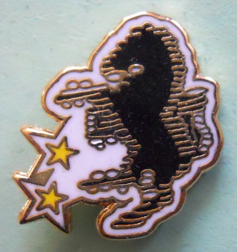 Distintivo spilla pin badge - pin,
