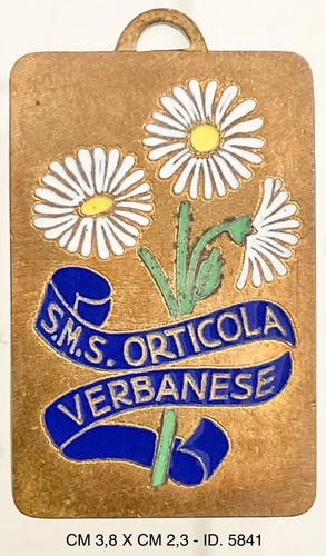 Verbania pallanza società - pallanza,