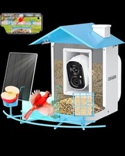 Alimentatore per uccelli con fotocamera intelligente AI identificazione cattura automatica rilevamento movimento uccelli
