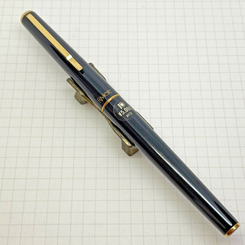 Penna stilografica platino
