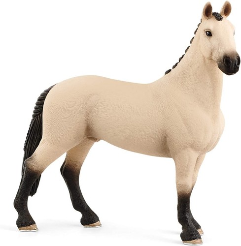 Horse club 13928 cavallo - club,