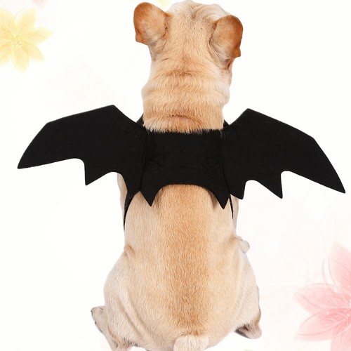 Ali halloween per animali - di,