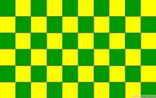 GREEN AND & YELLOW CHECKERED