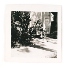 Peluche e cespuglio floreale