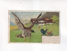6060) Cartolina RAPACI -