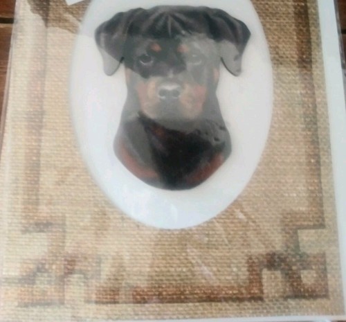 Nuova carta for pet sake - pet's, 3d