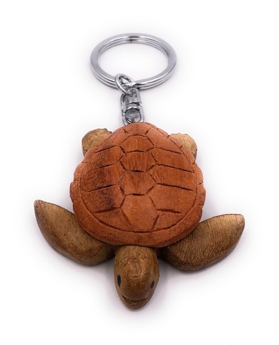 Tartaruga con scudo legno - scudo,