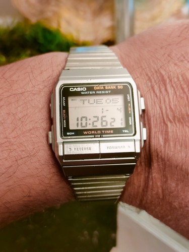 Banca dati casio - banca, db-520
