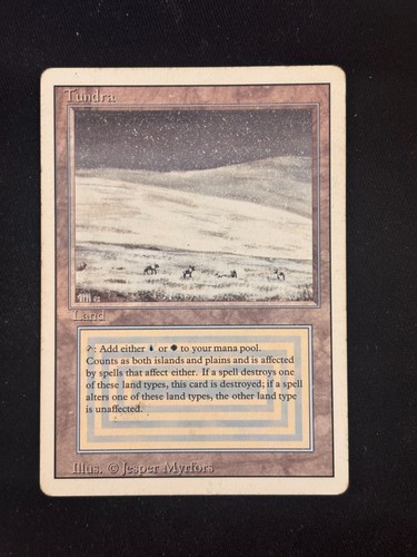 Tundra mtg - tundra,