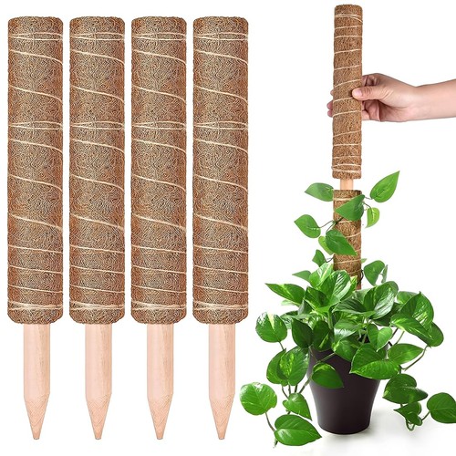 Dovban 4pcs palo - 4pcs, fibra