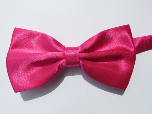 Papillon farfalla seta raso - papillon,