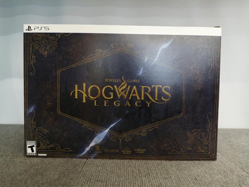 Portkey games hogwarts legacy - portkey,