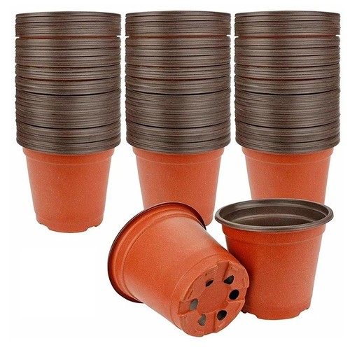 75pcs vasi plastica per - 75pcs,