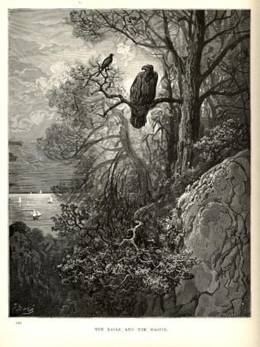 1880 stampa antica aquila e - 1880,