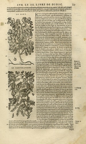 Stampa