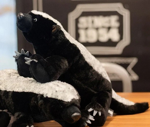 Peluche honey badger - ratel, 15