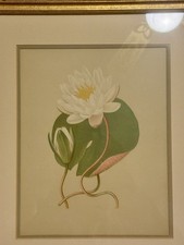 Antico acquerello 1876 Issac