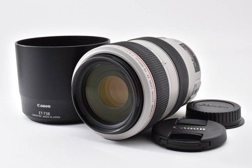 Canon 300mm 5 - f4, 5.6l