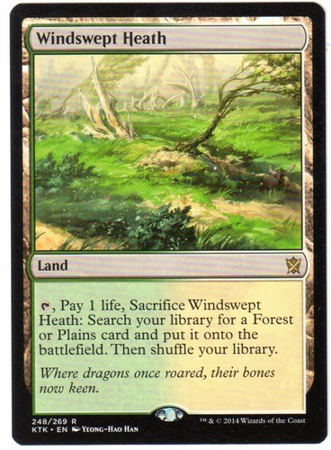 Landa ventosa windswept - landa,