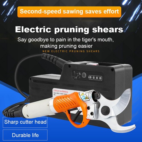 Forbici elettriche per alberi