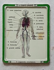 Placca metallo IL CORPO UMANO