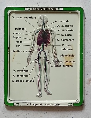Placca metallo corpo - placca,