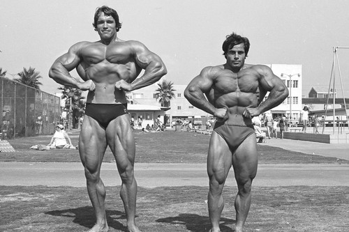 Poster bodybuilding franco - poster,