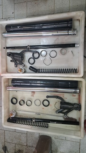 Cartuccia forcella andreani - cartuccia,