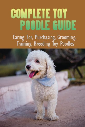 Complete toy poodle guide - poodle,