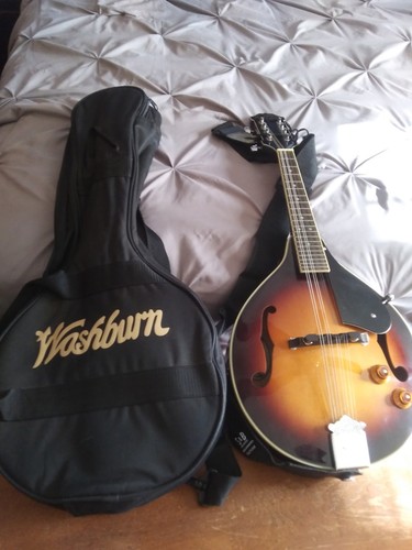 Washburn madolin con custodia - madolin,