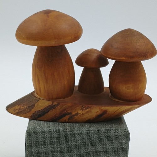 Funghi legno fatti - funghi, mano