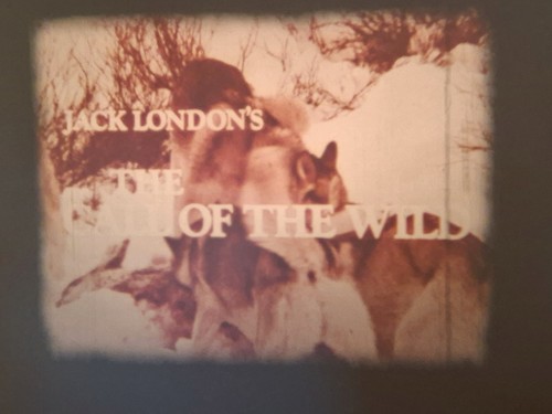 Call the wild 1972 - the,
