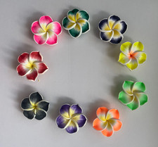 10x FIORI DI ARGILLA