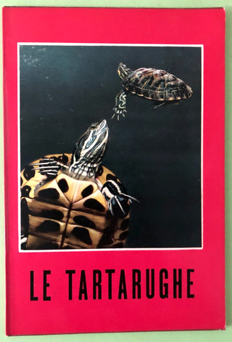 Tartarughe terrestri e - le,