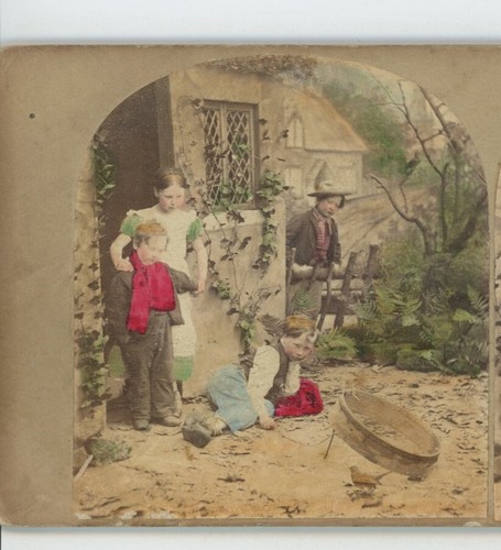 The bird trap stereoview di - bird,