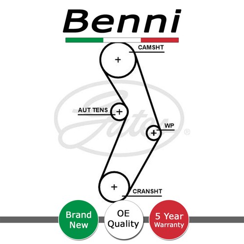 Cinghia distribuzione benni - cinghia,