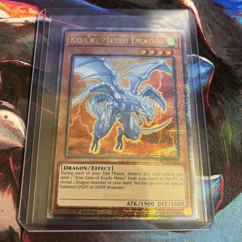 Koa meiru drago rara - koa'ki,