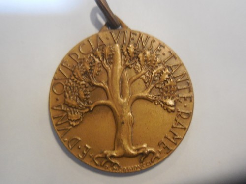 Medaglia legione allievi - medaglia,