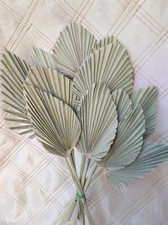 12 FOGLIE FIORI secchi