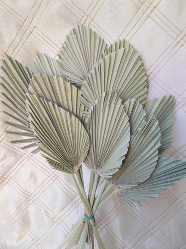 Foglie fiori secchi - 12,