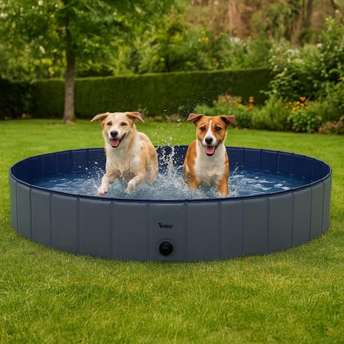 Piscina per cani - x, 160