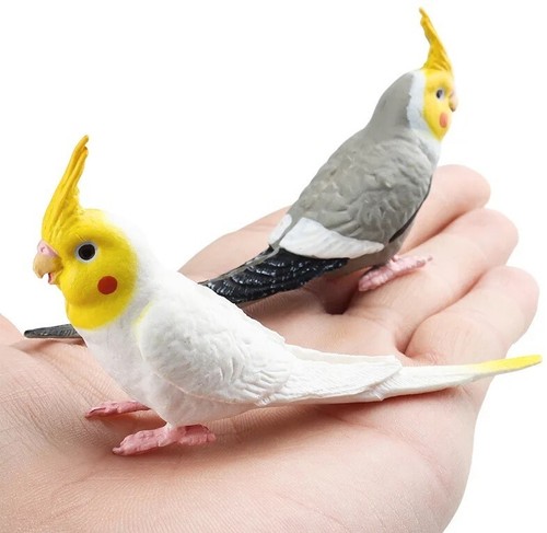 Pezzi lutino cockatiel - 2, pvc