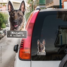 Adesivo auto Malinois a bordo