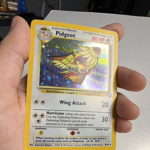 Pokémon pidgeot jungle - pidgeot, 1°