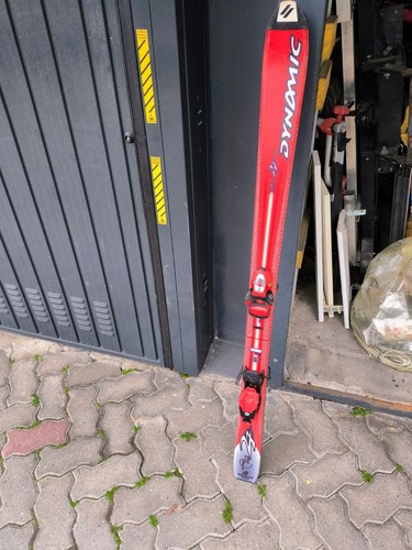 Paio sci dynamic 125cm - di,