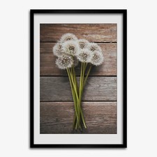 Tulup foto su MDF decorazione